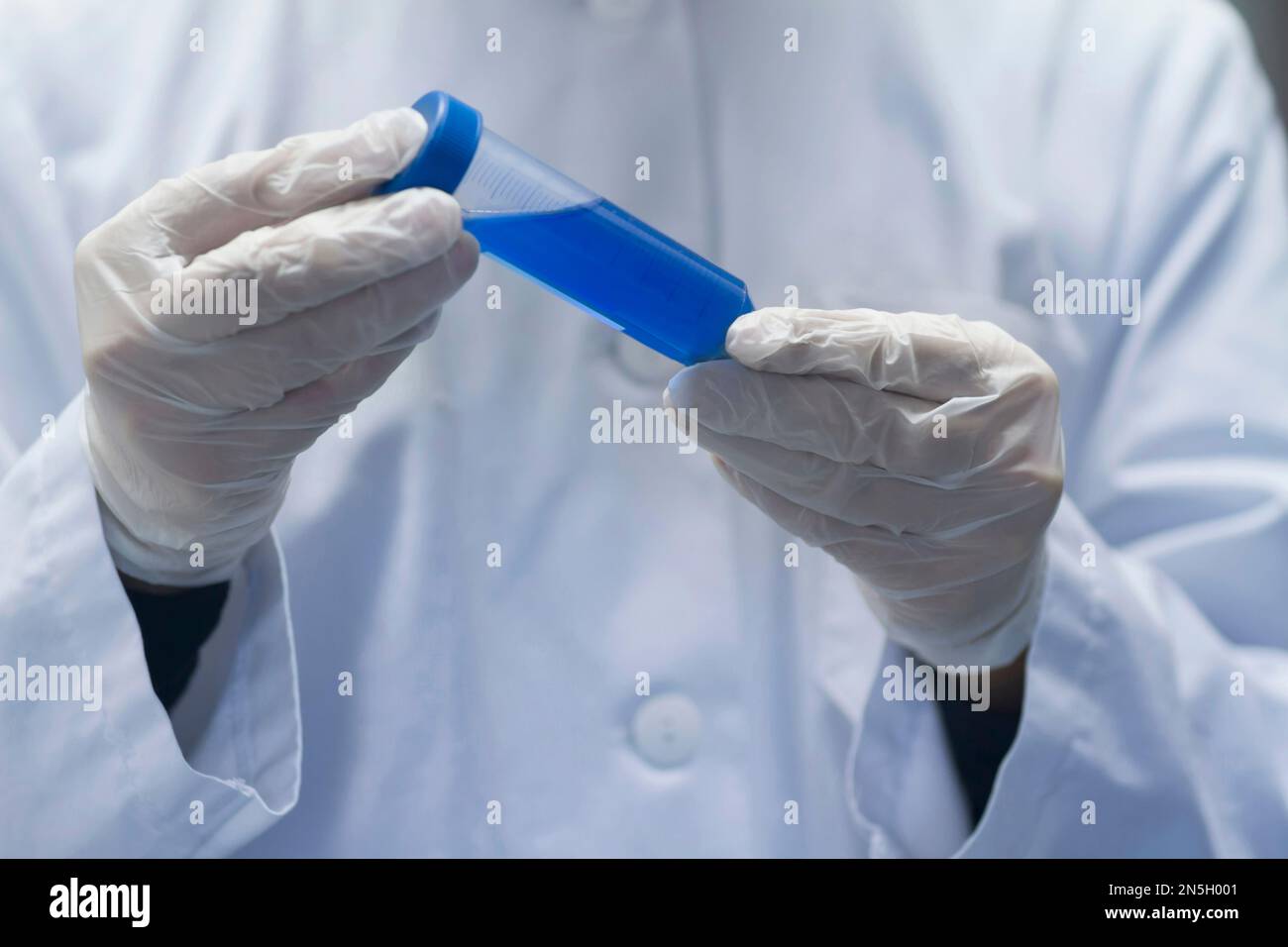Mid section of a female scientist examining test tube in a laboratory, Freiburg im Breisgau, Baden-Württemberg, Germany Stock Photo
