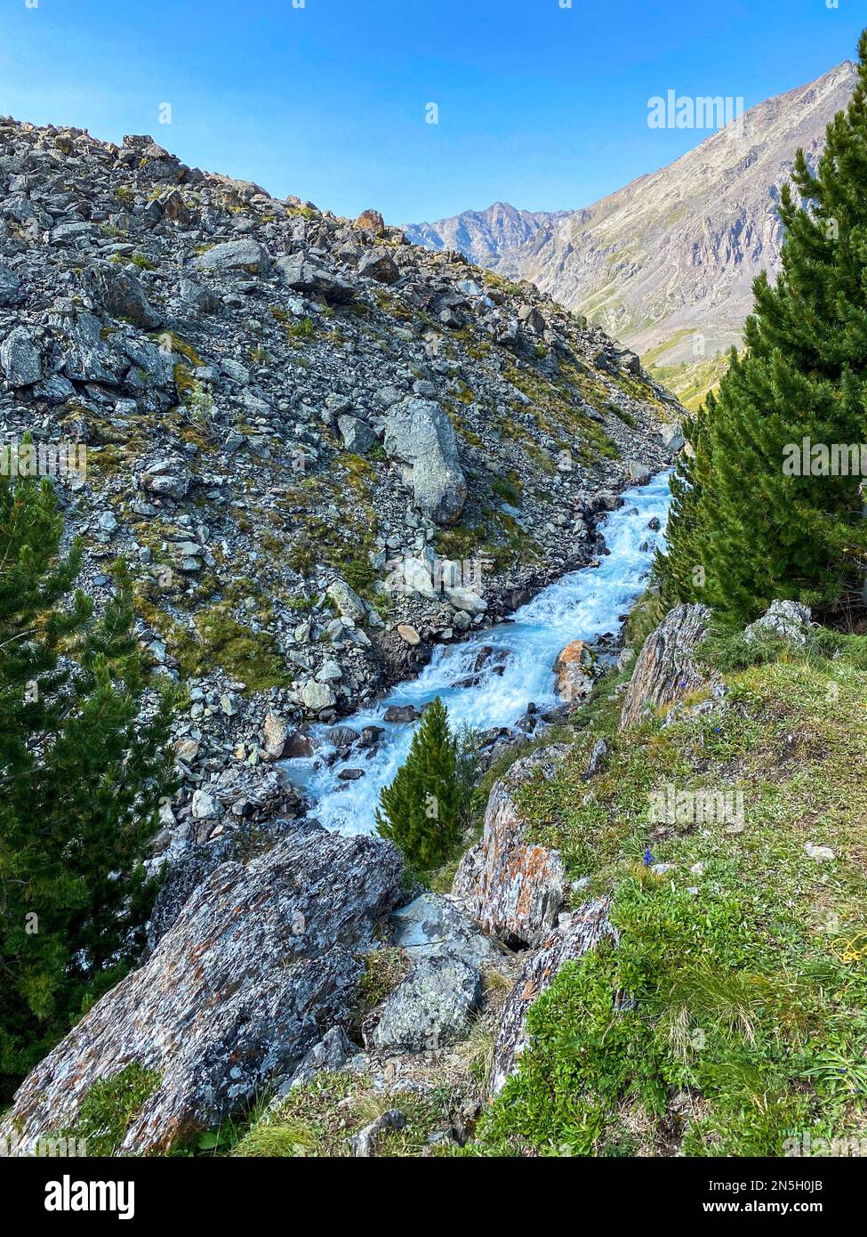 The water of the current alpine river among the stones flows in the Altai mountains in Siberia. Vertical frame. Stock Photo