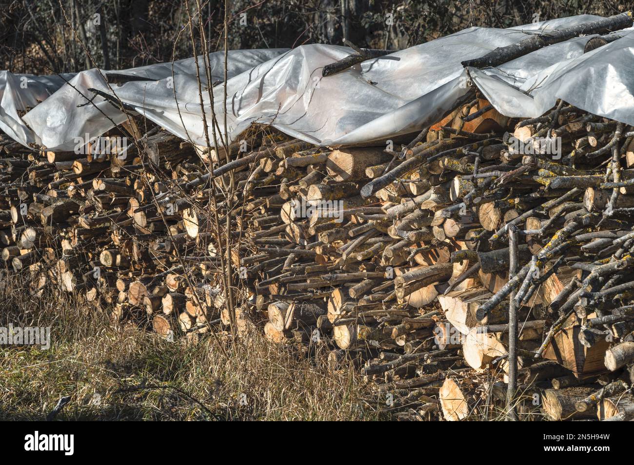 Firewood under cover of a plastic sheet Stock Photo - Alamy