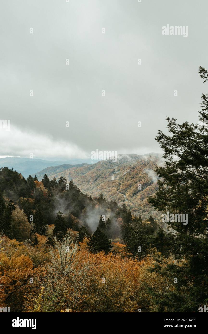 View from Newfound Gap in Great Smoky Mountain National Park Stock Photo