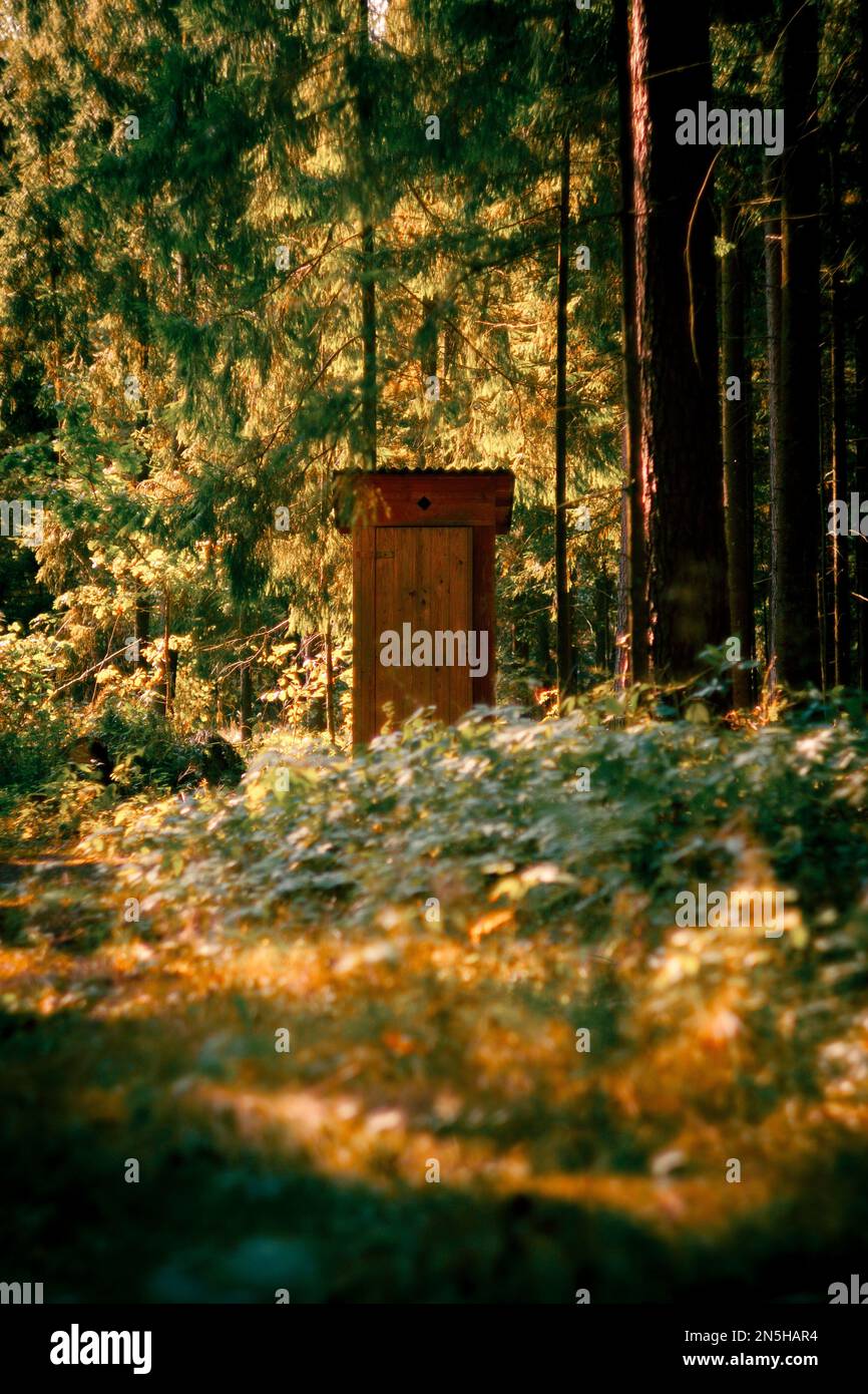 Aerial dense forest greenery hi-res stock photography and images - Alamy