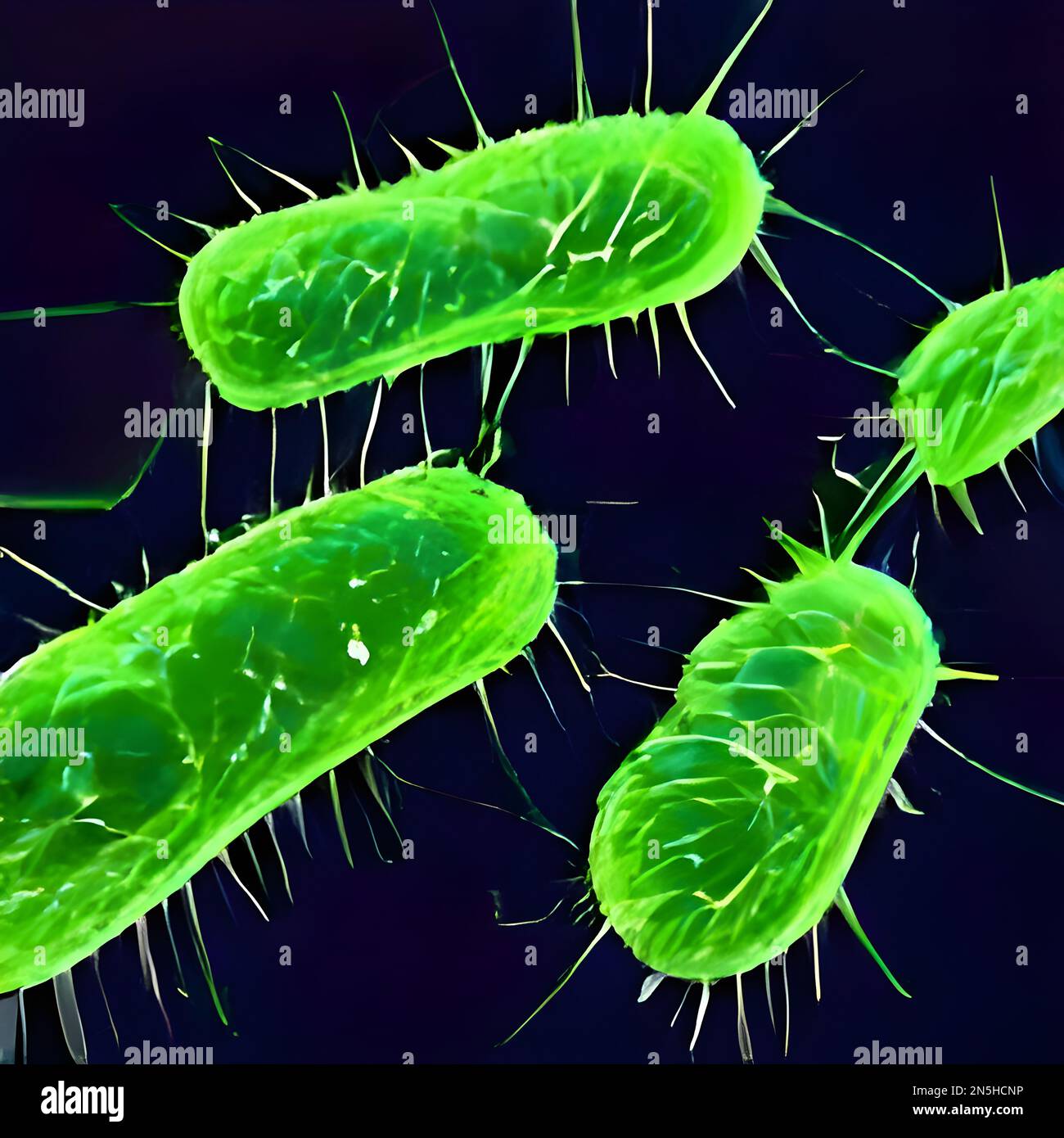 microscopic bacteria. Legionella pneumophila illustration Stock Photo Alamy