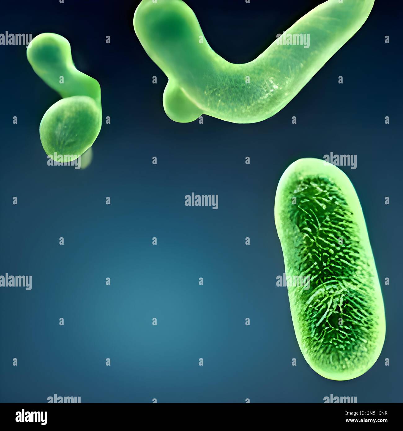 microscopic bacteria. Legionella pneumophila illustration Stock Photo Alamy