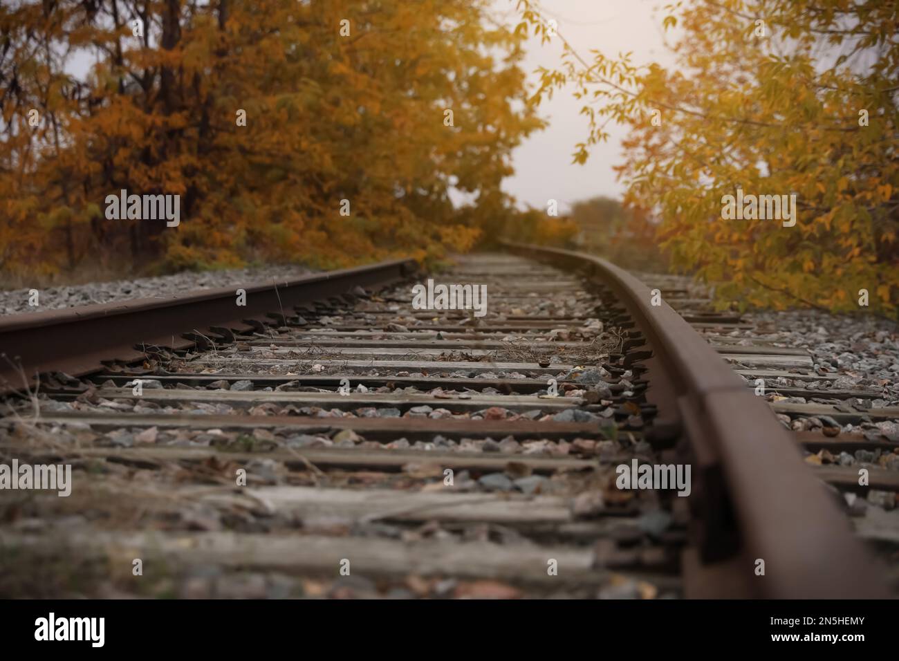 Railway line with track ballast in countryside. Train journey Stock Photo Alamy
