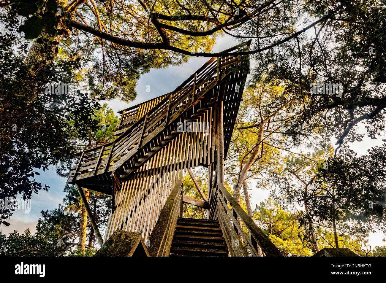 The Étang de Cousseau is a pristine nature reserve with a coastal lake, swamps, dunes, and woods in the Gironde departement, France Stock Photo