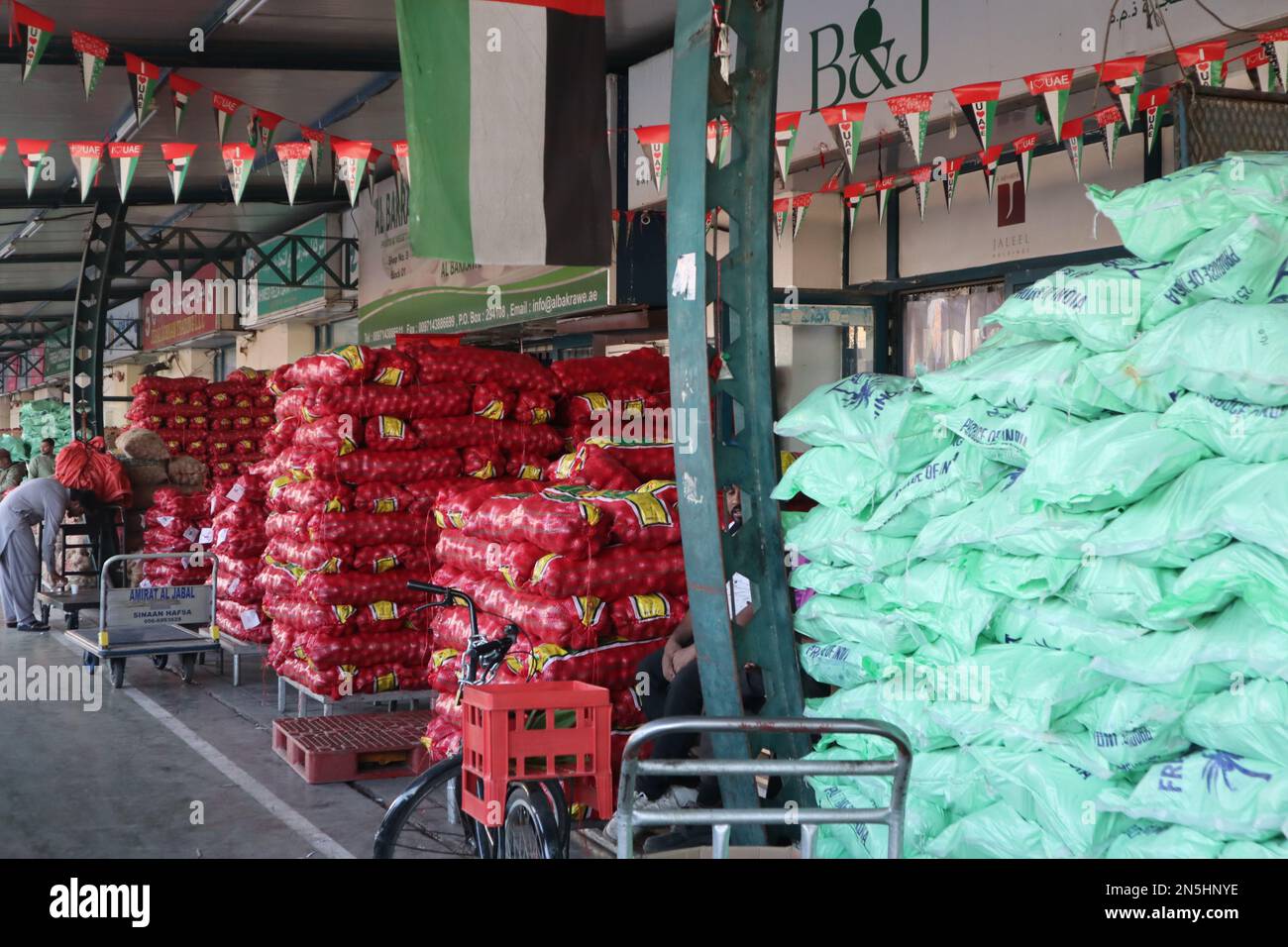 Dubai, UAE 01152023 Fruits and Vegetable Market in Al Awir, Dubai
