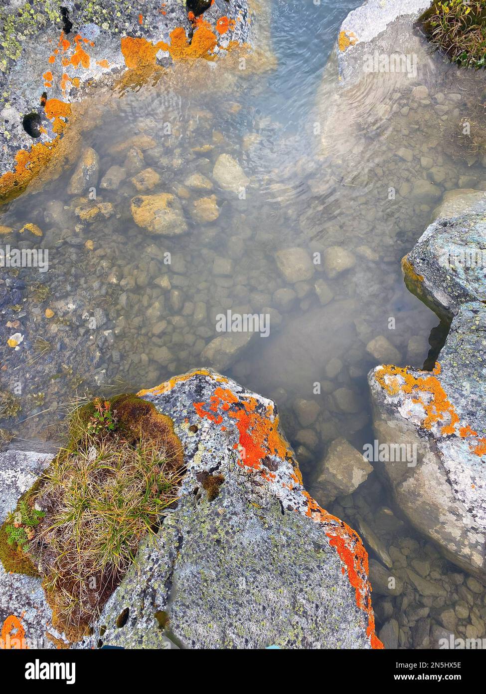 Clear water of an alpine stream among stones with orange moss in the mountains. Stock Photo