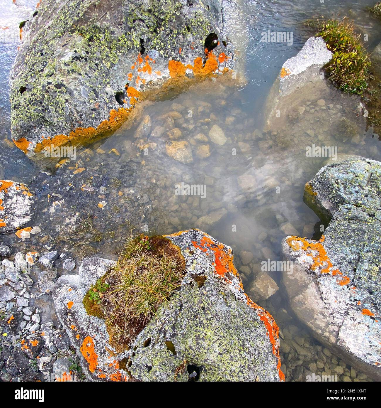 Clear water of an alpine stream among stones with orange moss in the mountains during the day. Stock Photo