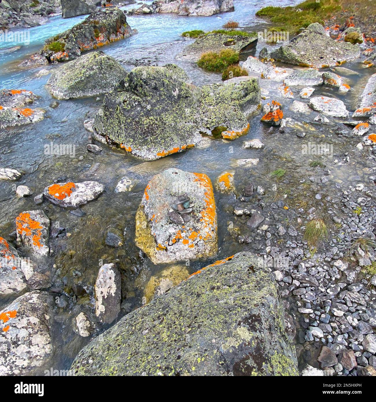 Clear water of an alpine stream among stones with orange moss in the Altai mountains during the day. Stock Photo