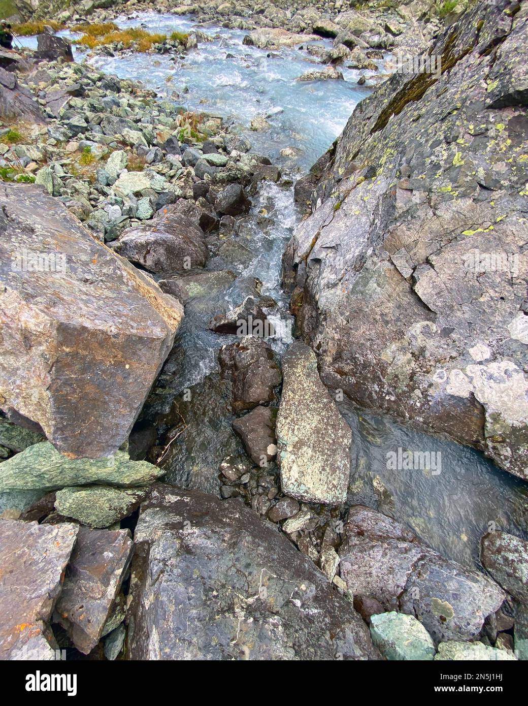 Clear water of an alpine stream among stones with green moss in the Altai mountains during the day. Stock Photo