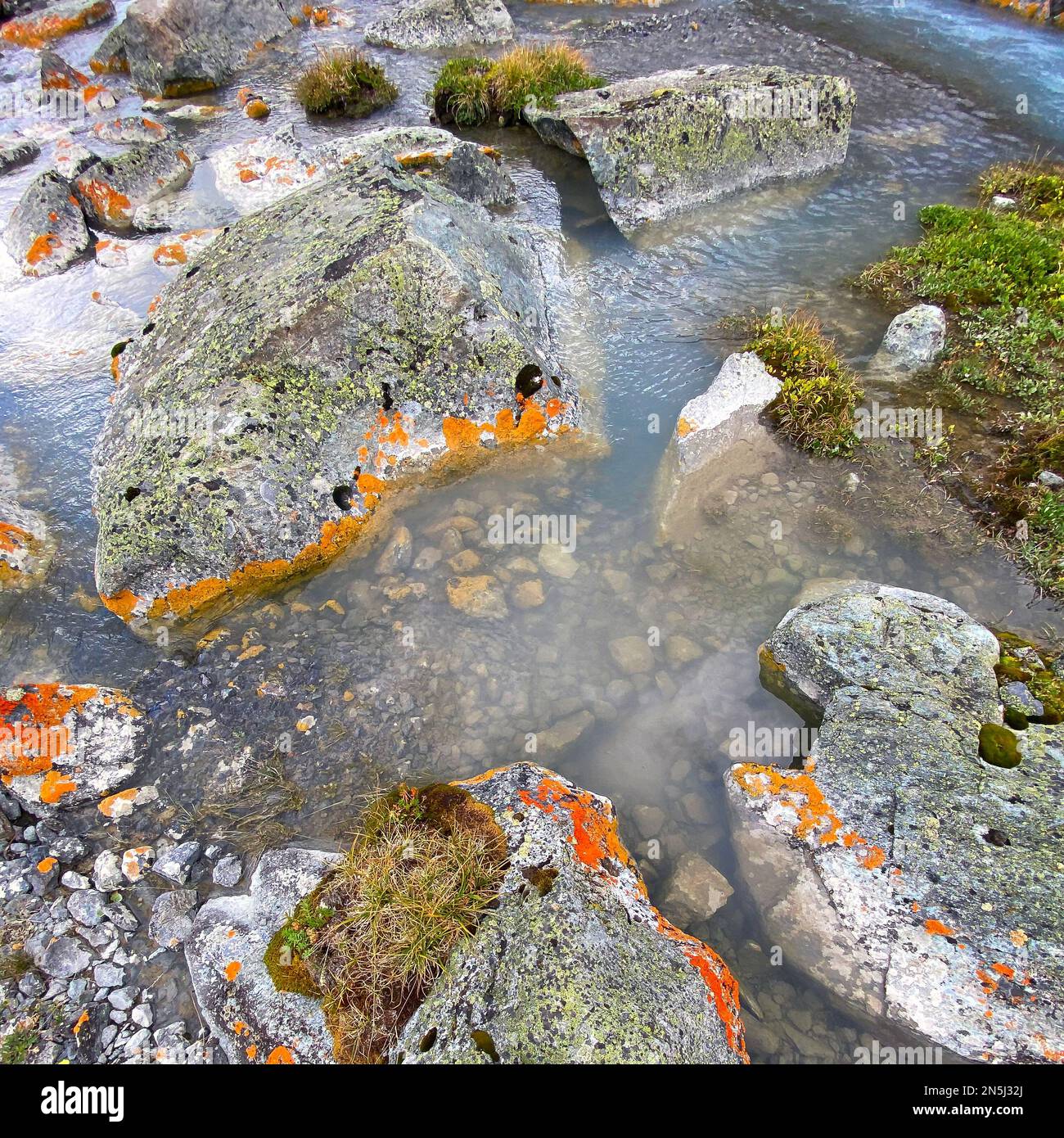 Clear water of an alpine stream among stones with orange moss. Stock Photo