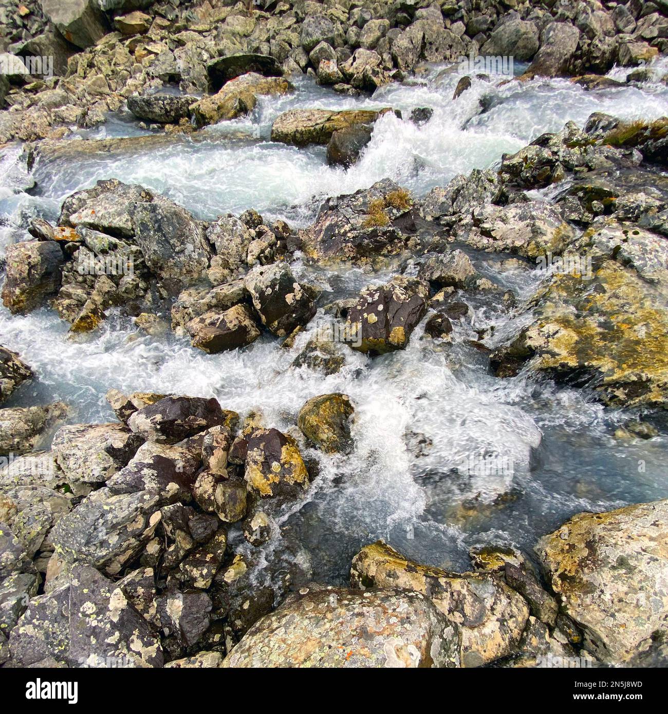 Clear water of a fast alpine stream among stones with green moss in the Altai mountains during the day. Stock Photo