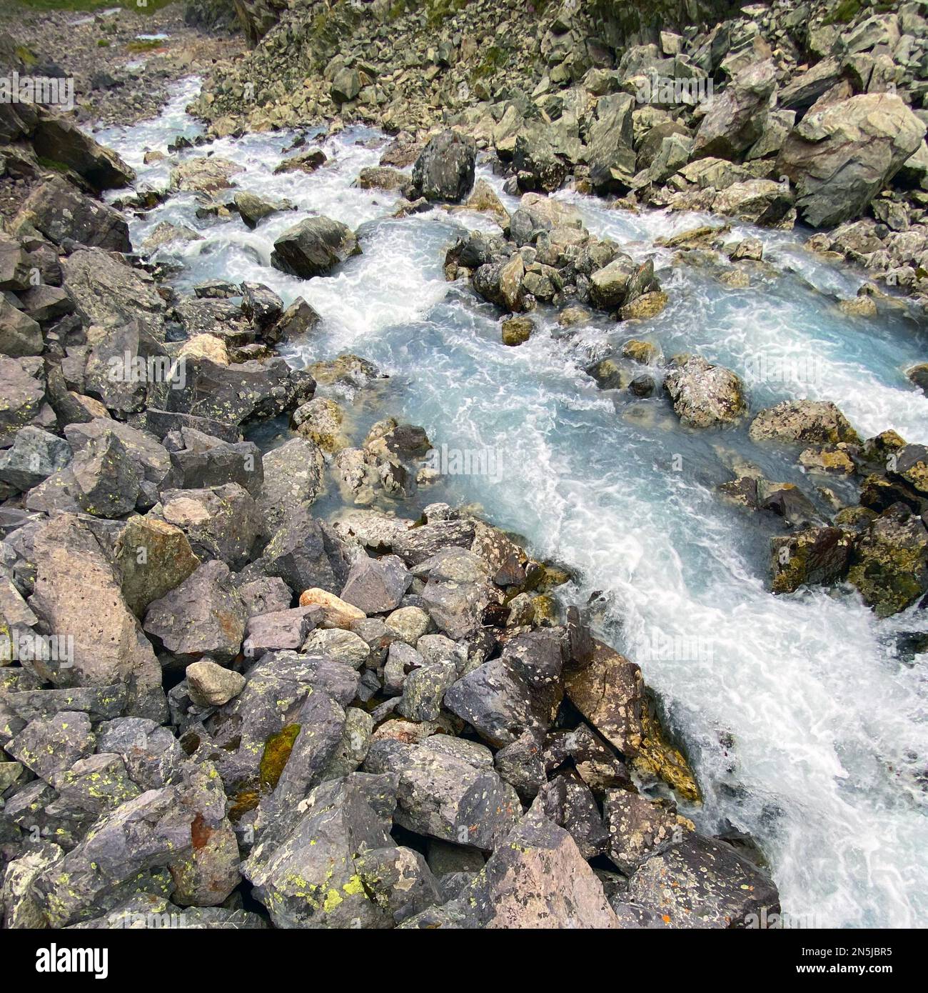 Clear water of a fast alpine stream among stones with green moss in the Altai mountains in Siberia during the day. Stock Photo
