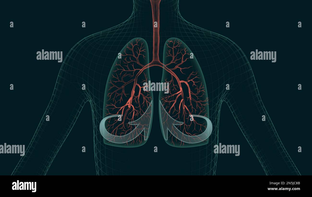 Lungs disease remedy or cough medicine ad. 3D rendered illustration