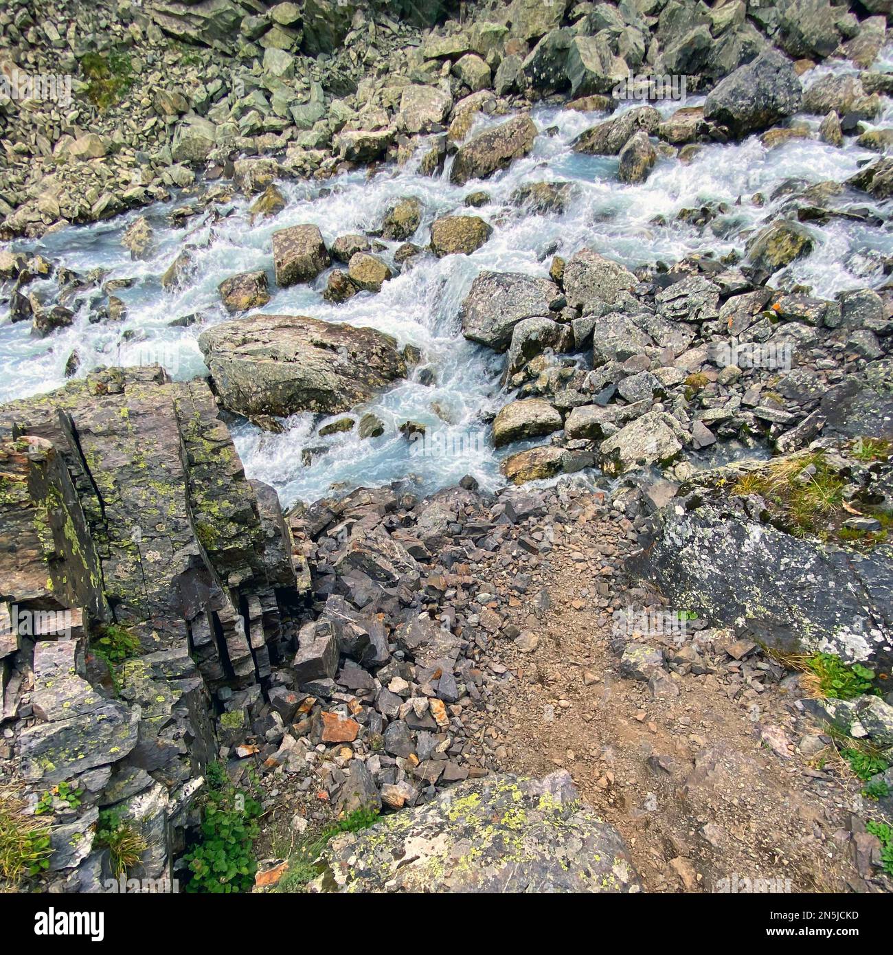 Clear water of a fast-flowing alpine stream among stones with green moss in the Altai Mountains in Siberia. Stock Photo