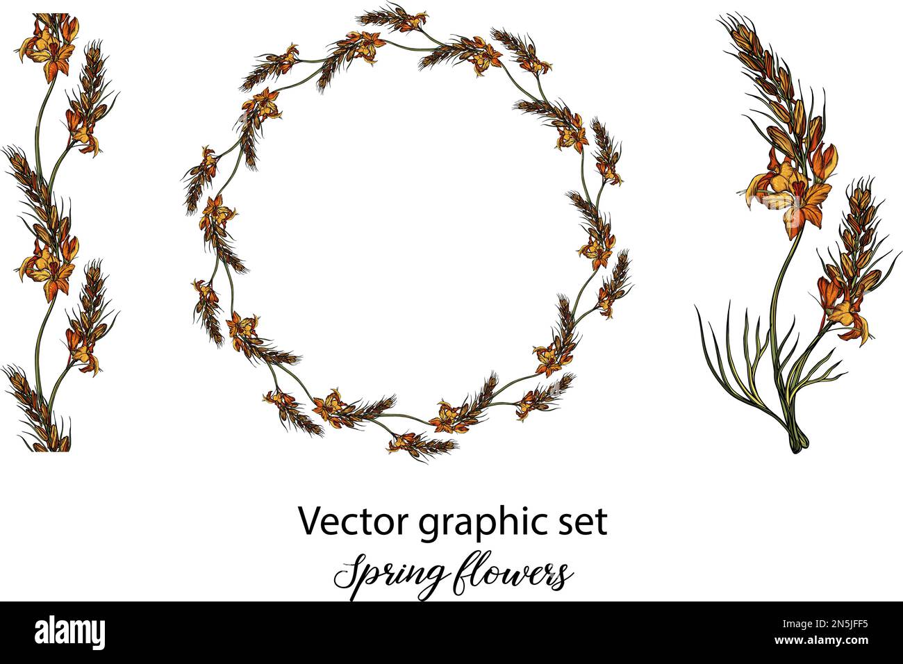 Vector flowers, buds. Botanical illustration. Spring flowers Stock ...