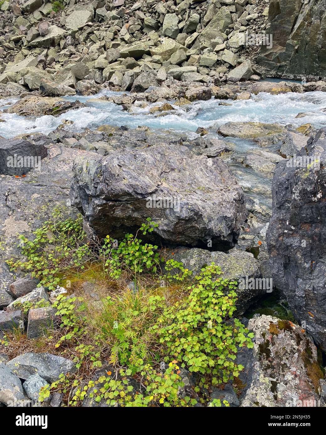 Clear water of a fast-flowing alpine stream among the stones of the rocks with green moss in the Altai mountains in Siberia during the day. Stock Photo