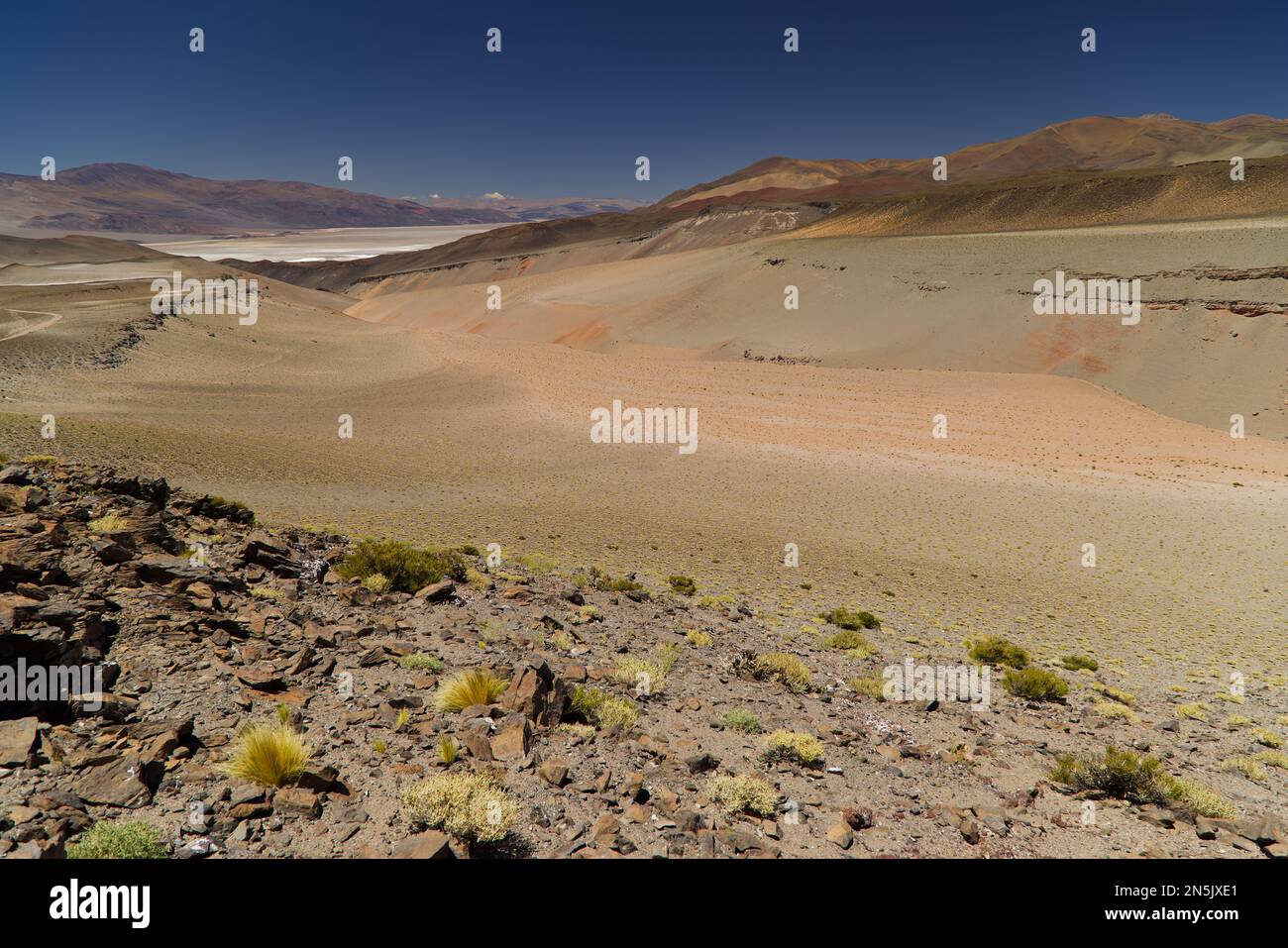 Puna landscape near Salar de Antofalla, Argentina Stock Photo Alamy