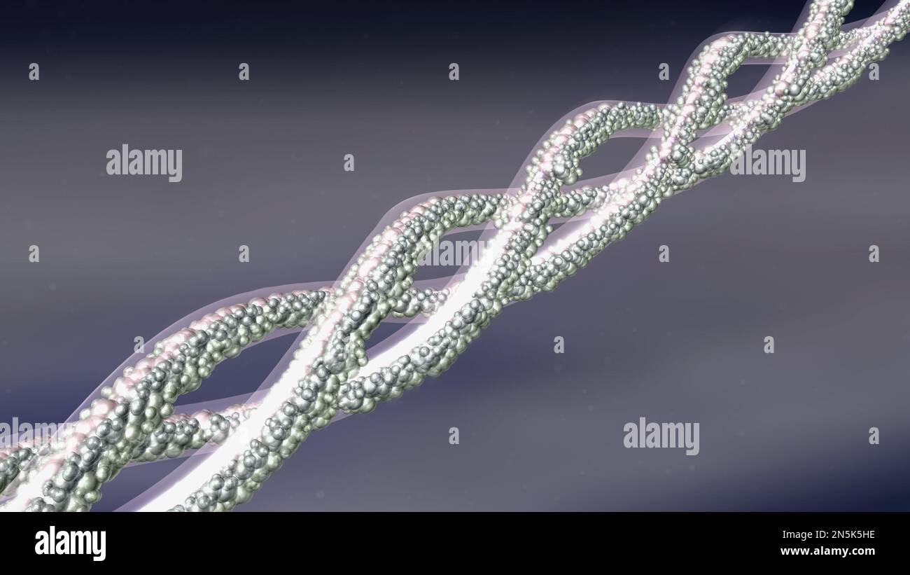 Collagen triplehelical molecule structure. 3D render Stock Photo Alamy