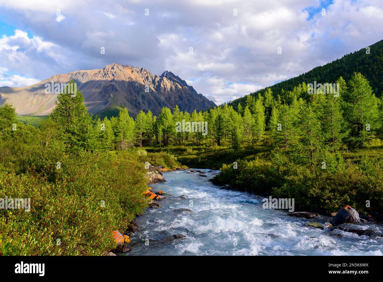 Alpine river with riffles and stones in a mountain valley among the forest in the Altai in Siberia. Stock Photo