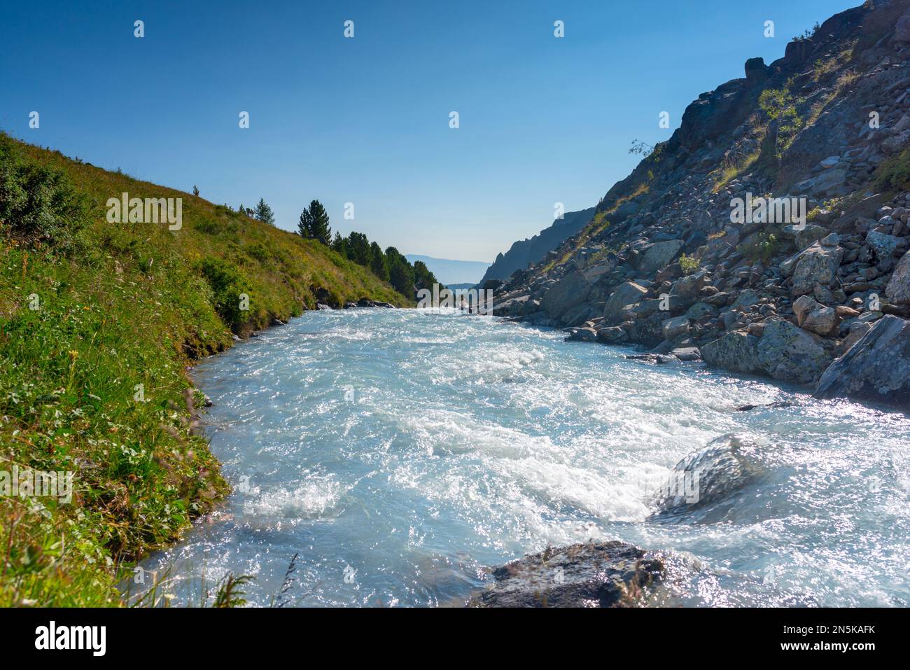 Alpine river flows among stones and banks with green grass during the day in the Altai mountains. Stock Photo