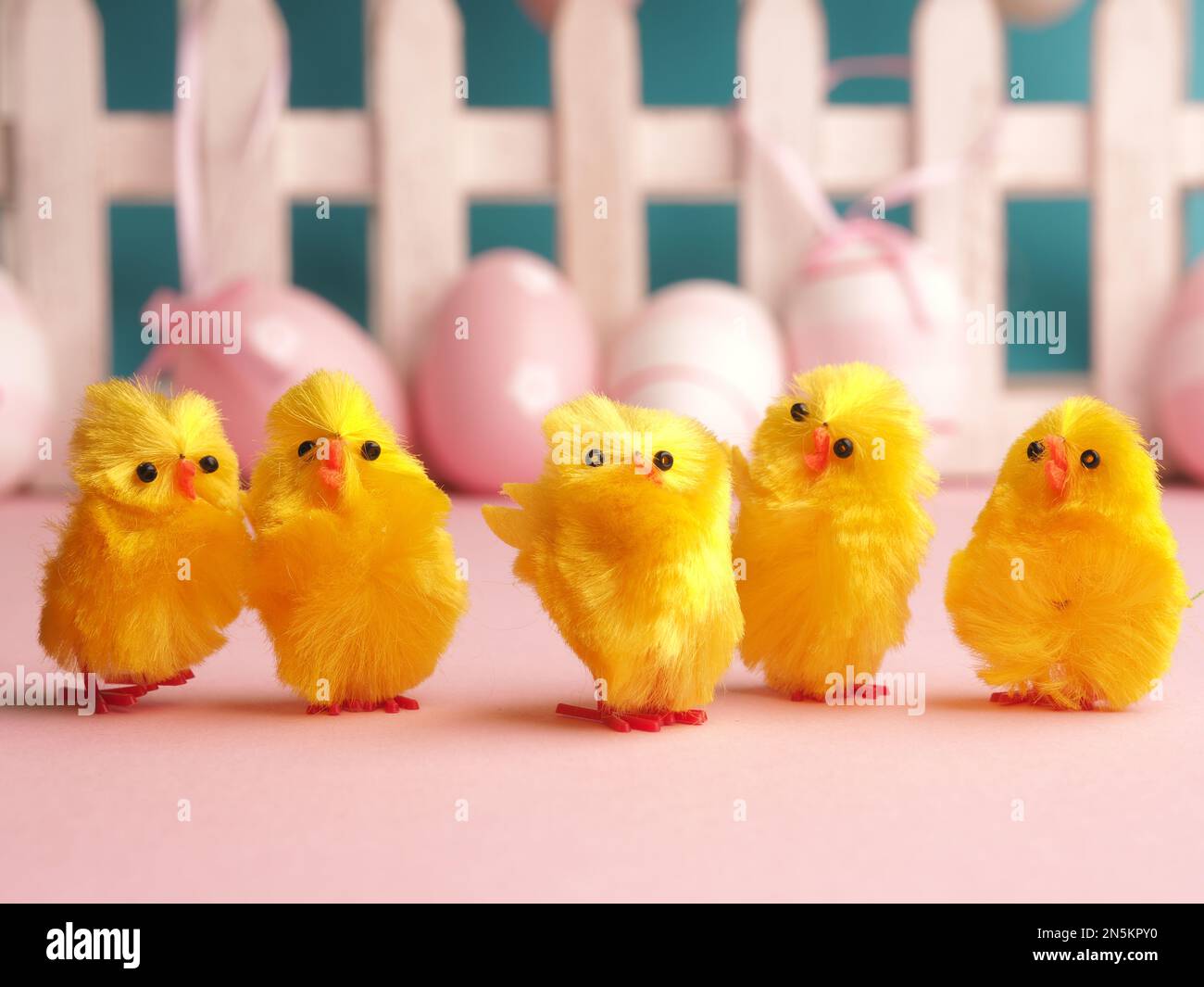 Close up of five cute chicks with Easter eggs background Stock Photo