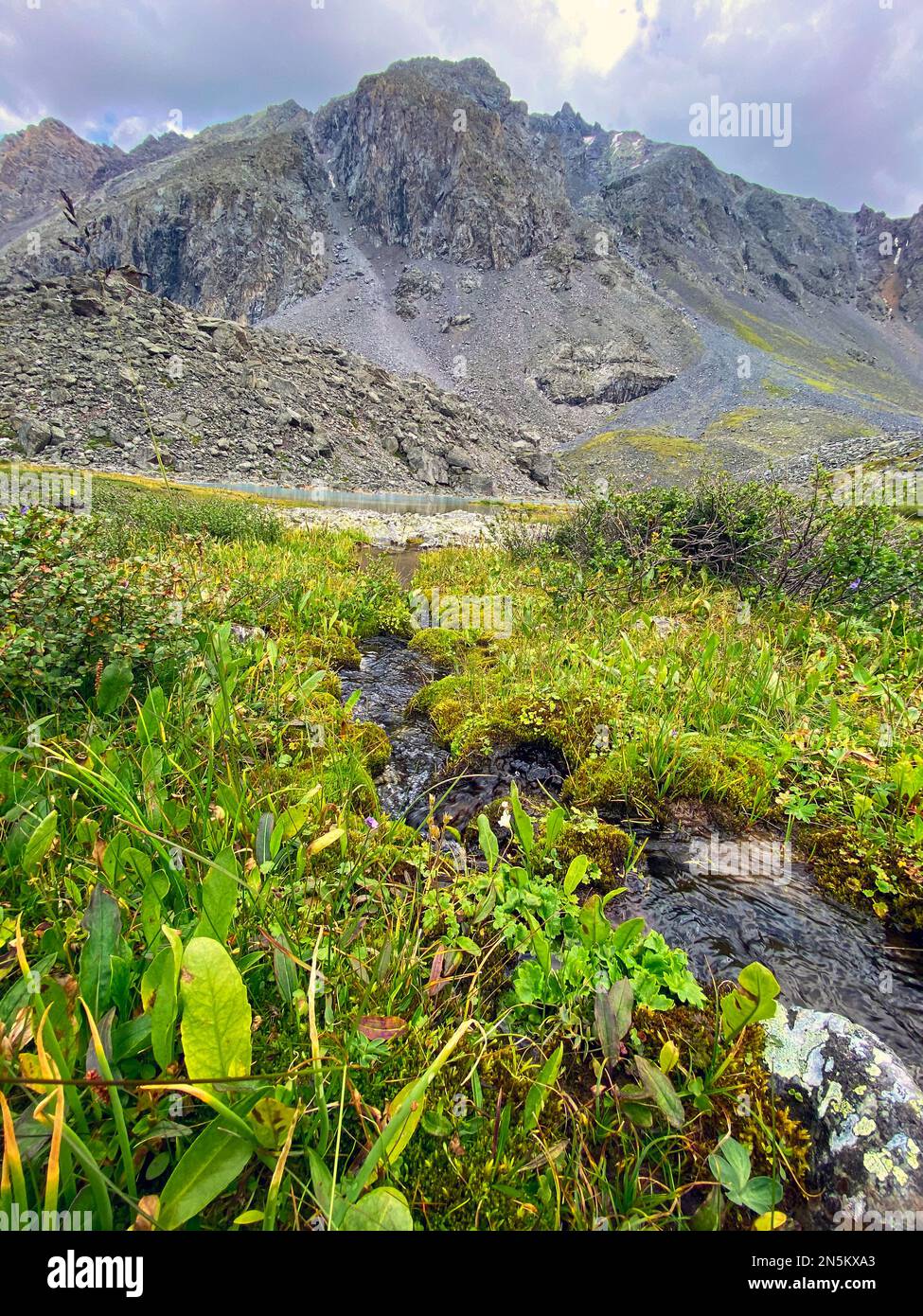 A small stream flows among the grass to a stone rock in the Altai in Siberia. Stock Photo