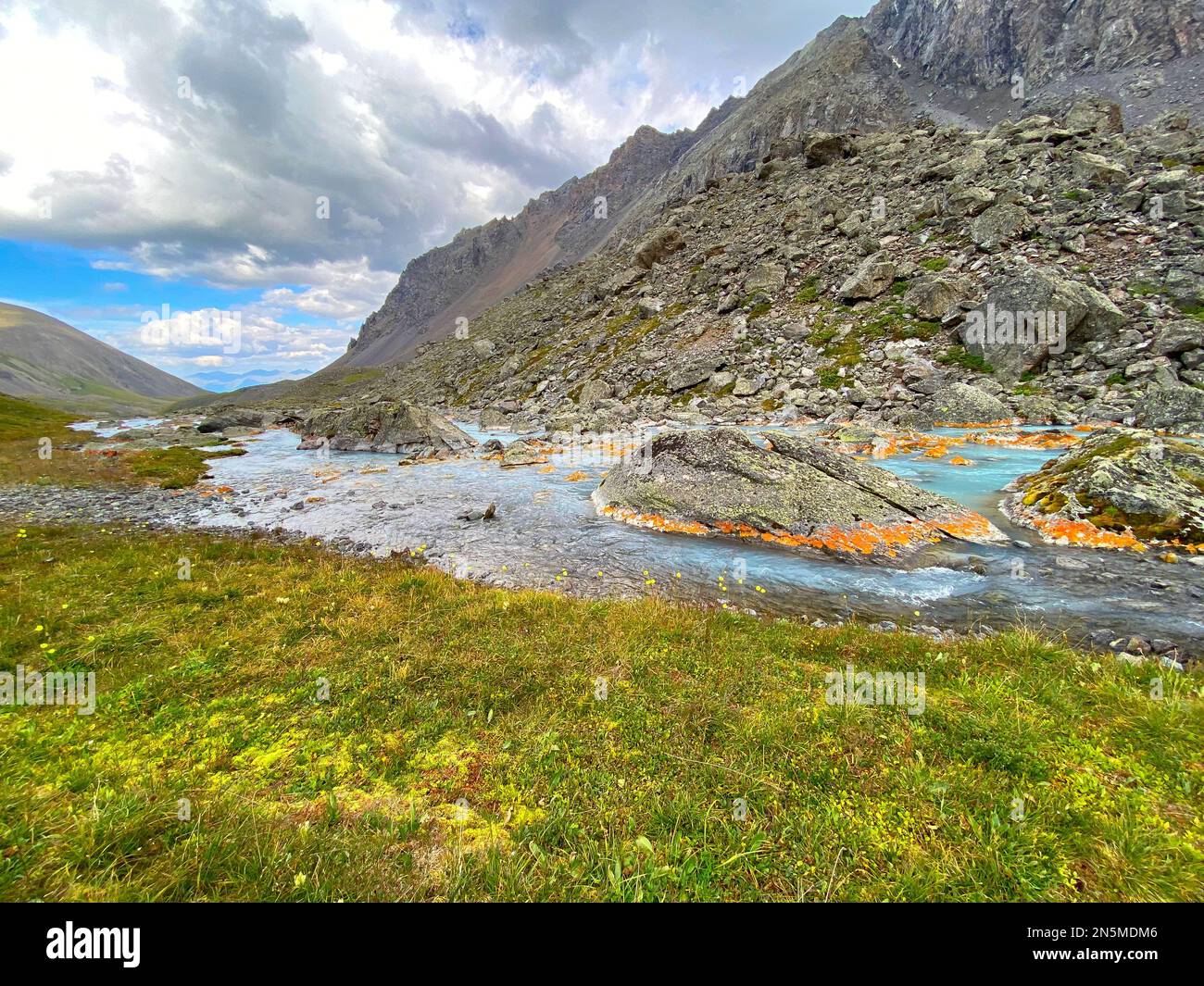 Alpine stream flows among orange stones and grass from the mountains in Altai in Siberia during the day. Stock Photo