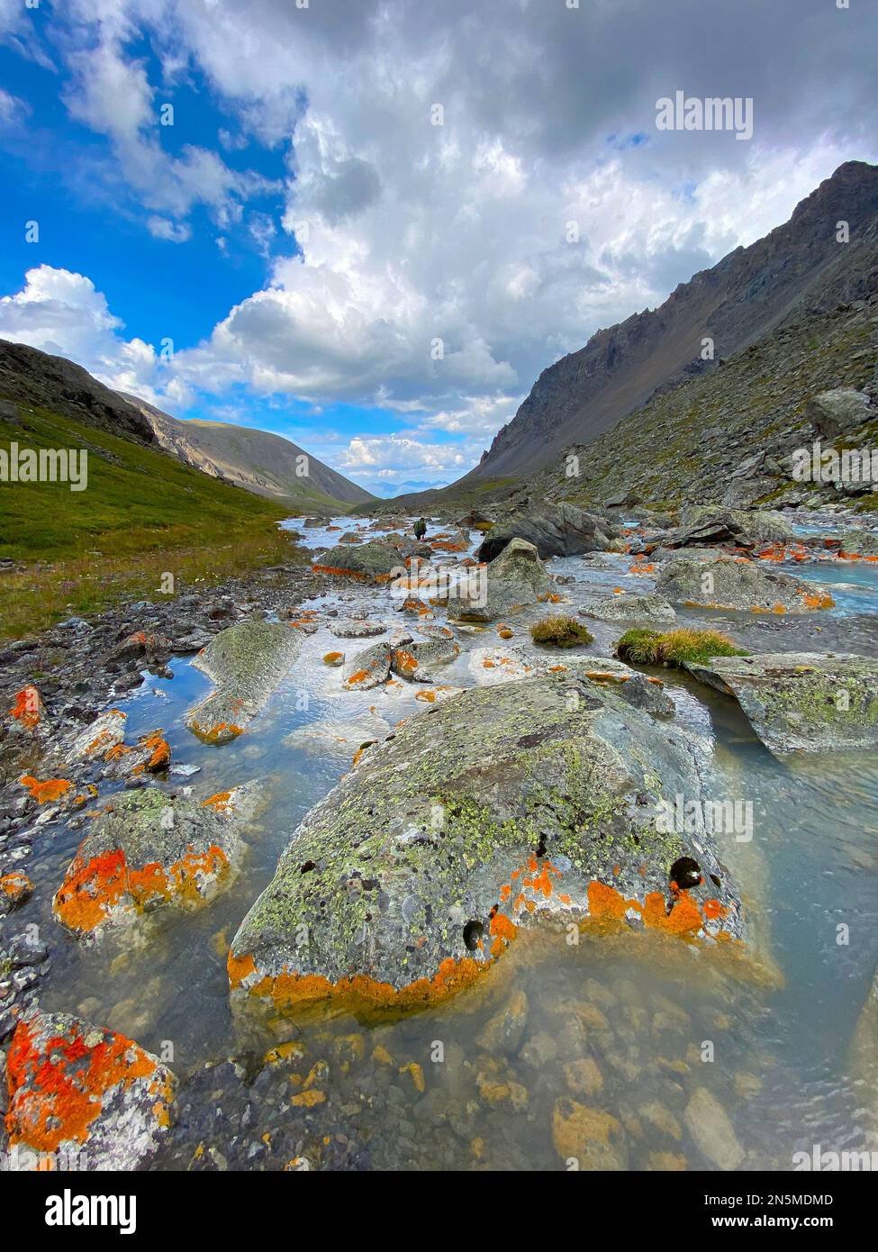 Alpine stream flows among the orange stones from the mountains in the Altai in Siberia during the day. Stock Photo