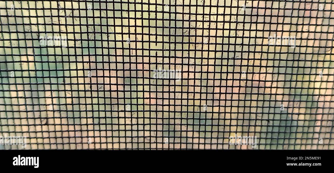A closeup shot of a mesh on a window with blurred background Stock Photo