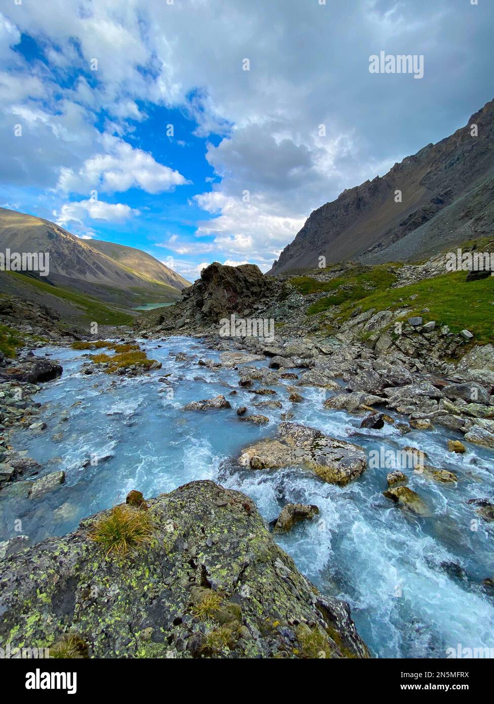 Alpine stream flows among green stones and grass from the mountains in Altai in Siberia during the day. Stock Photo