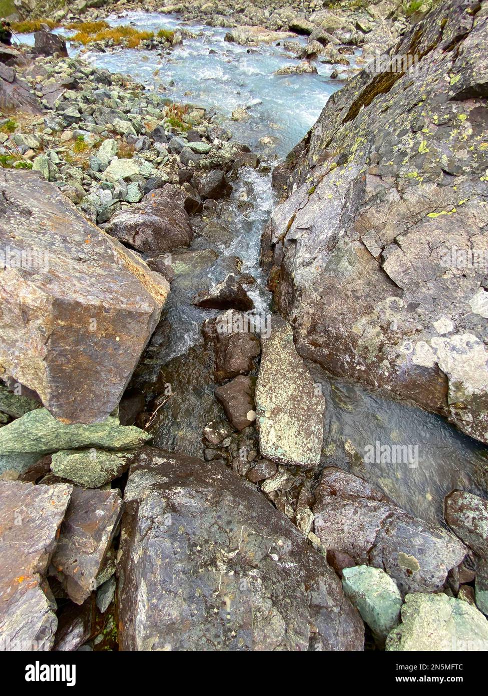 The water of a fast-flowing alpine stream among the stones of the rocks with green moss in the Altai mountains in Siberia during the day. Stock Photo