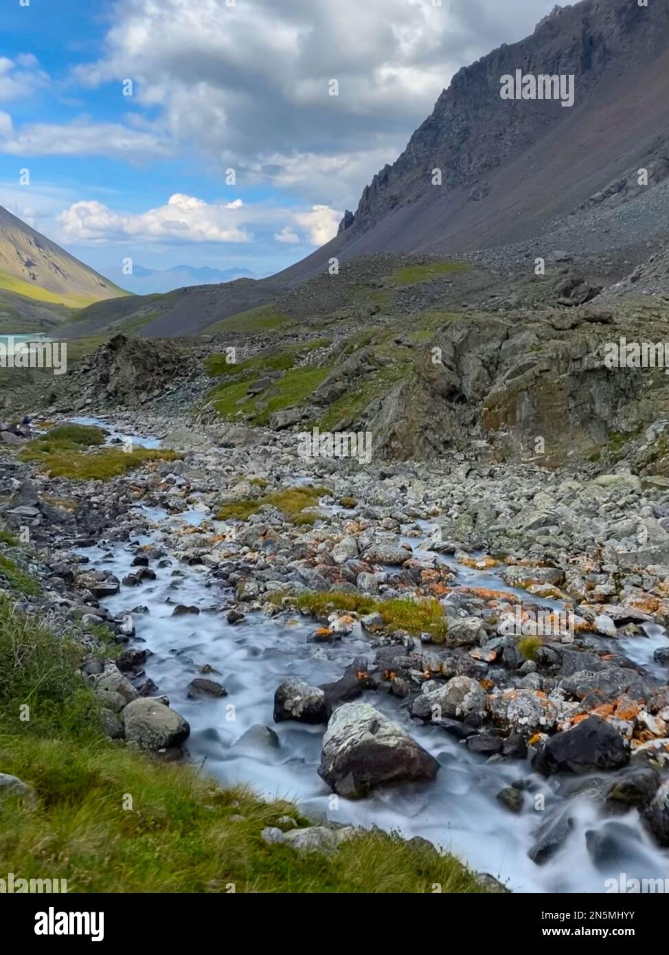 Alpine stream flows among x stones and grass from the mountains in Altai in Siberia during the day. Stock Photo