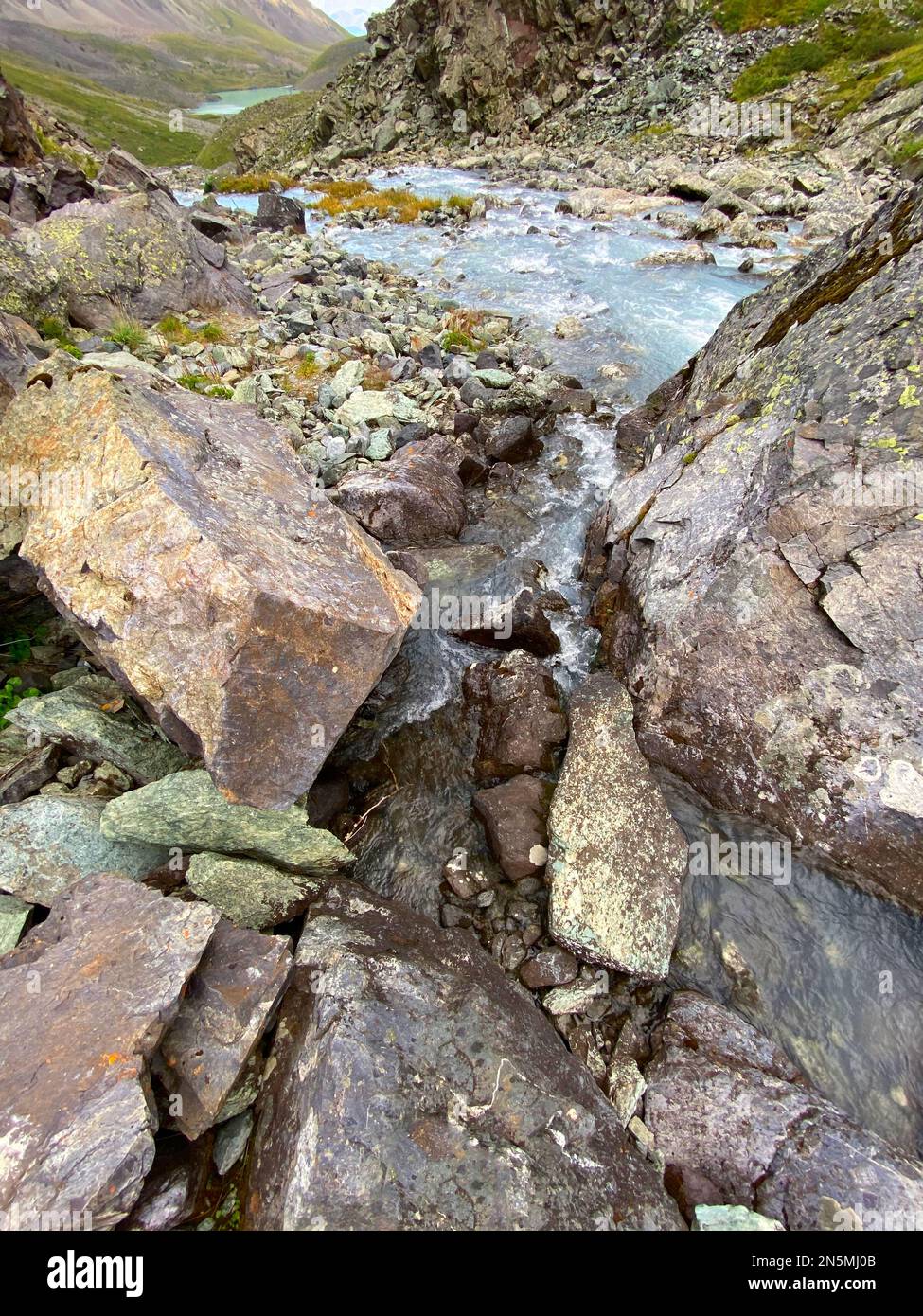 The water of a fast-flowing alpine stream among the stones of rocks with green lichen in the Altai mountains in Siberia. Vertical frame. Stock Photo