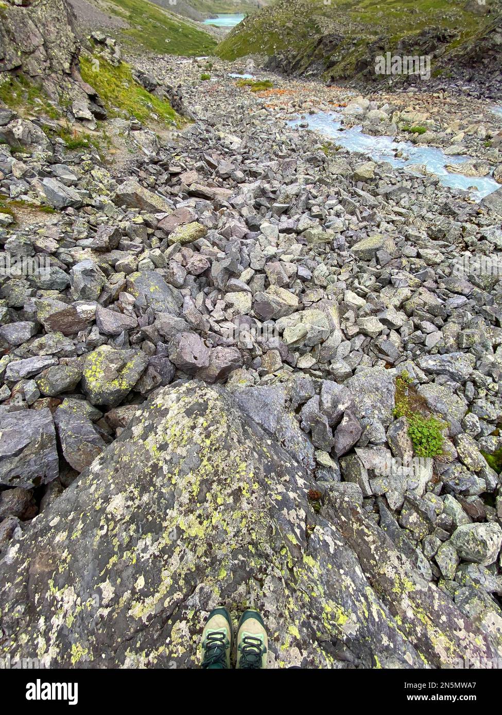 The water of a fast-flowing alpine stream among the stones of rocks with green lichen in the Altai mountains in Siberia. Vertical frame. Stock Photo
