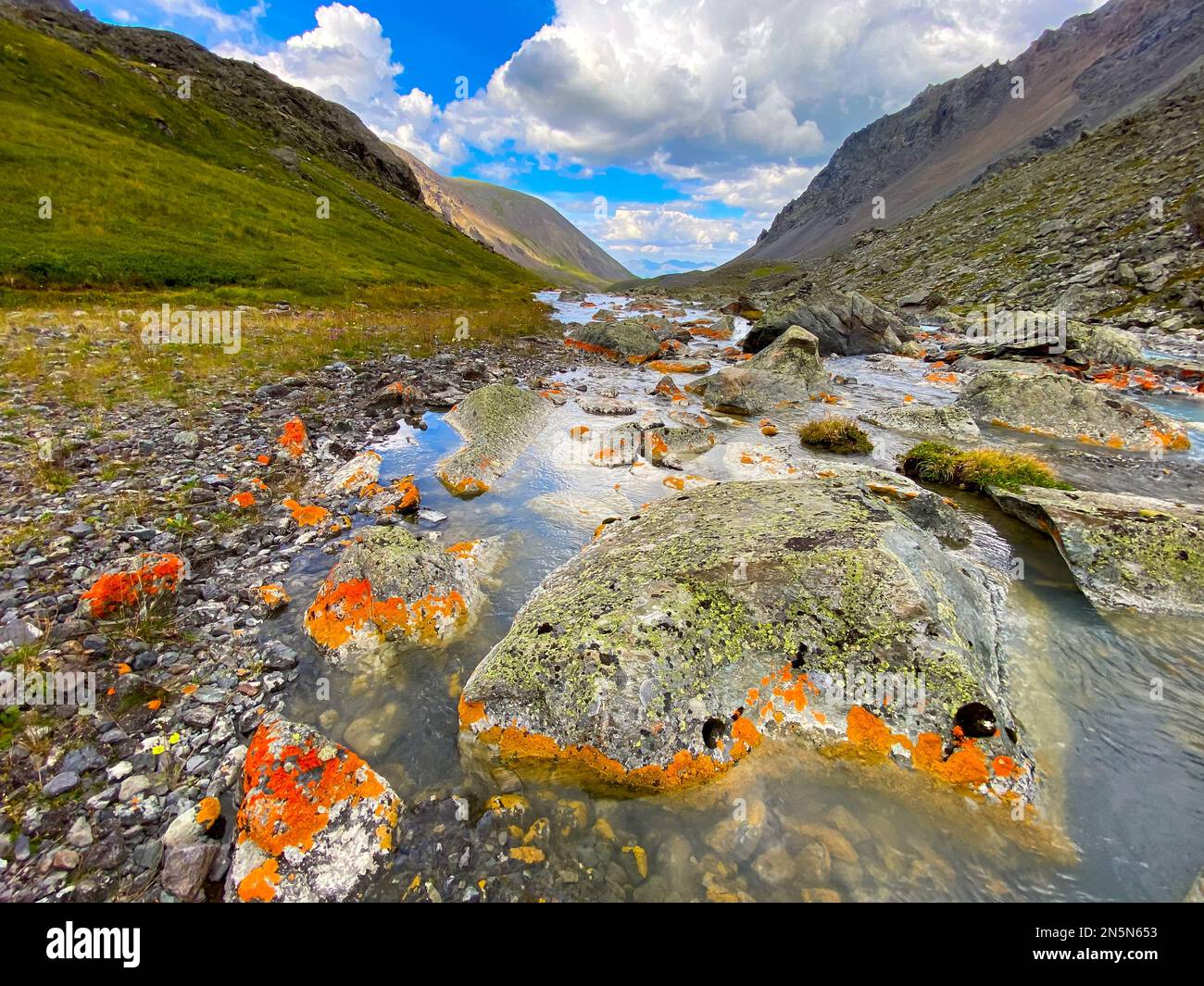 Clear water of an alpine stream among stones with orange moss in the mountains during the day. Stock Photo