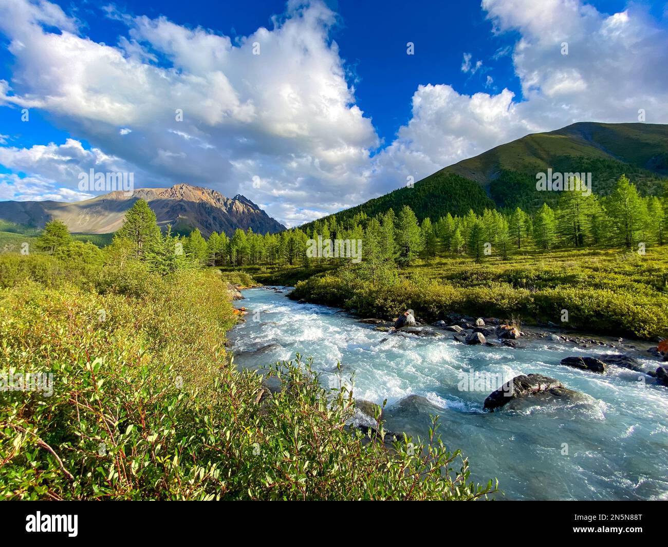 Alpine river flows over stones from the mountains among the forests in the Altai in Siberia. Stock Photo