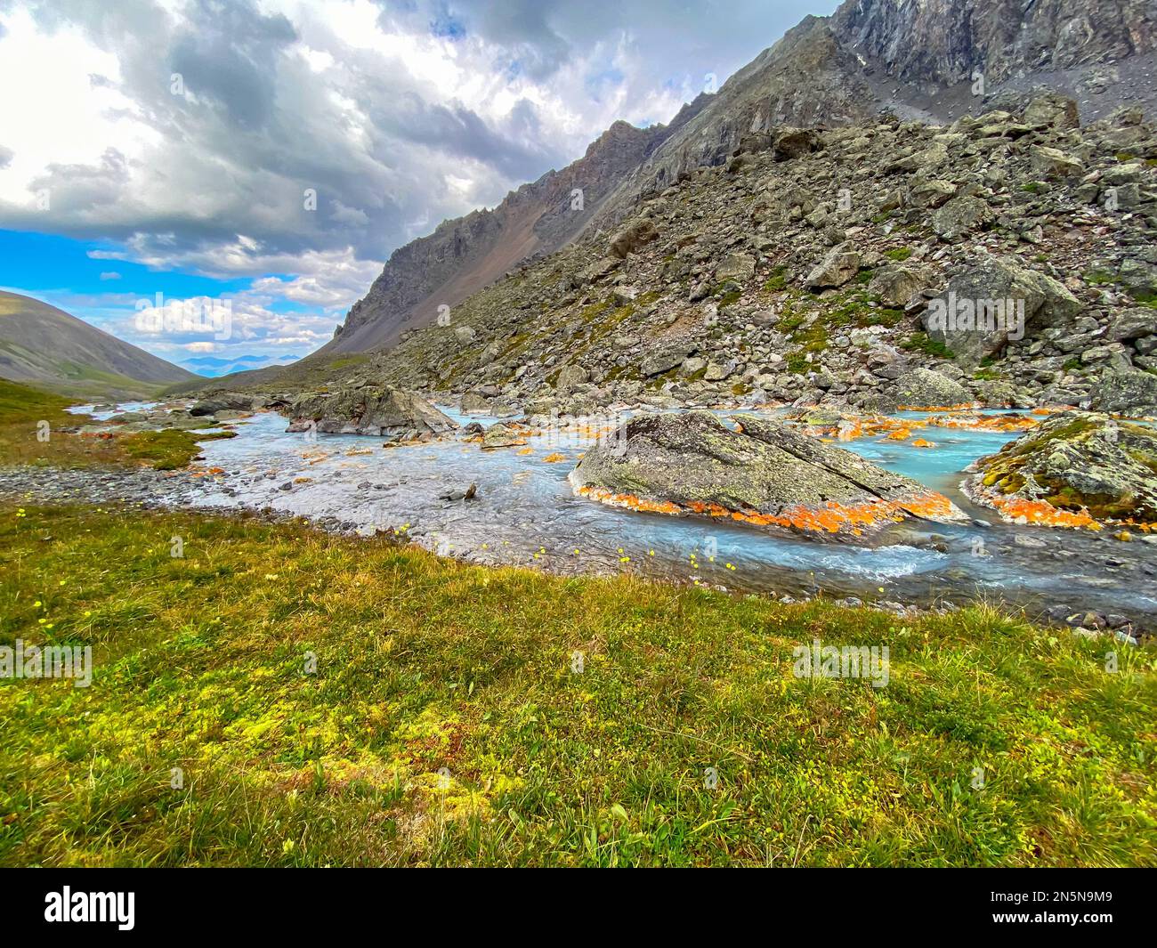 Alpine river flows over orange stones among mountains and banks with grass in Altai in Siberia. Stock Photo