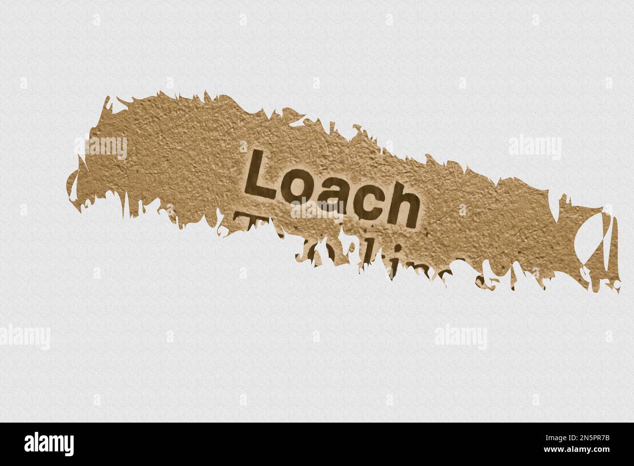 Loach in English vocabulary language words phrase highlighted Stock Photo