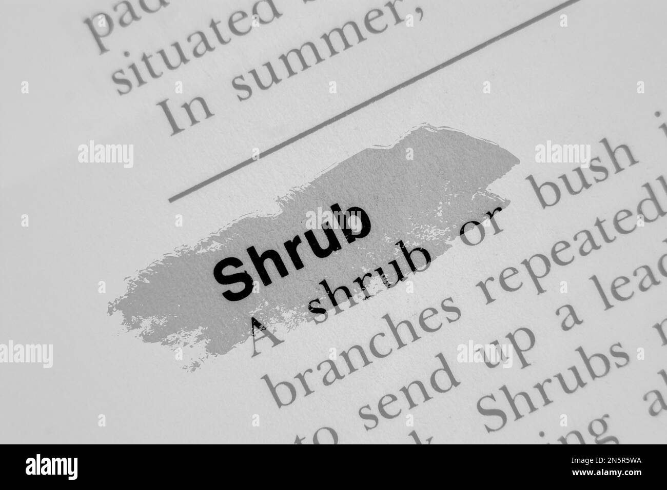 SHRUB in English vocabulary language word with reference and encyclopaedia meaning opaque Stock Photo