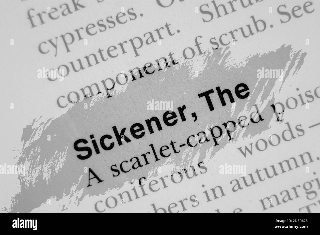 SICKENER, THE in English vocabulary language word with reference and encyclopaedia meaning opaque Stock Photo