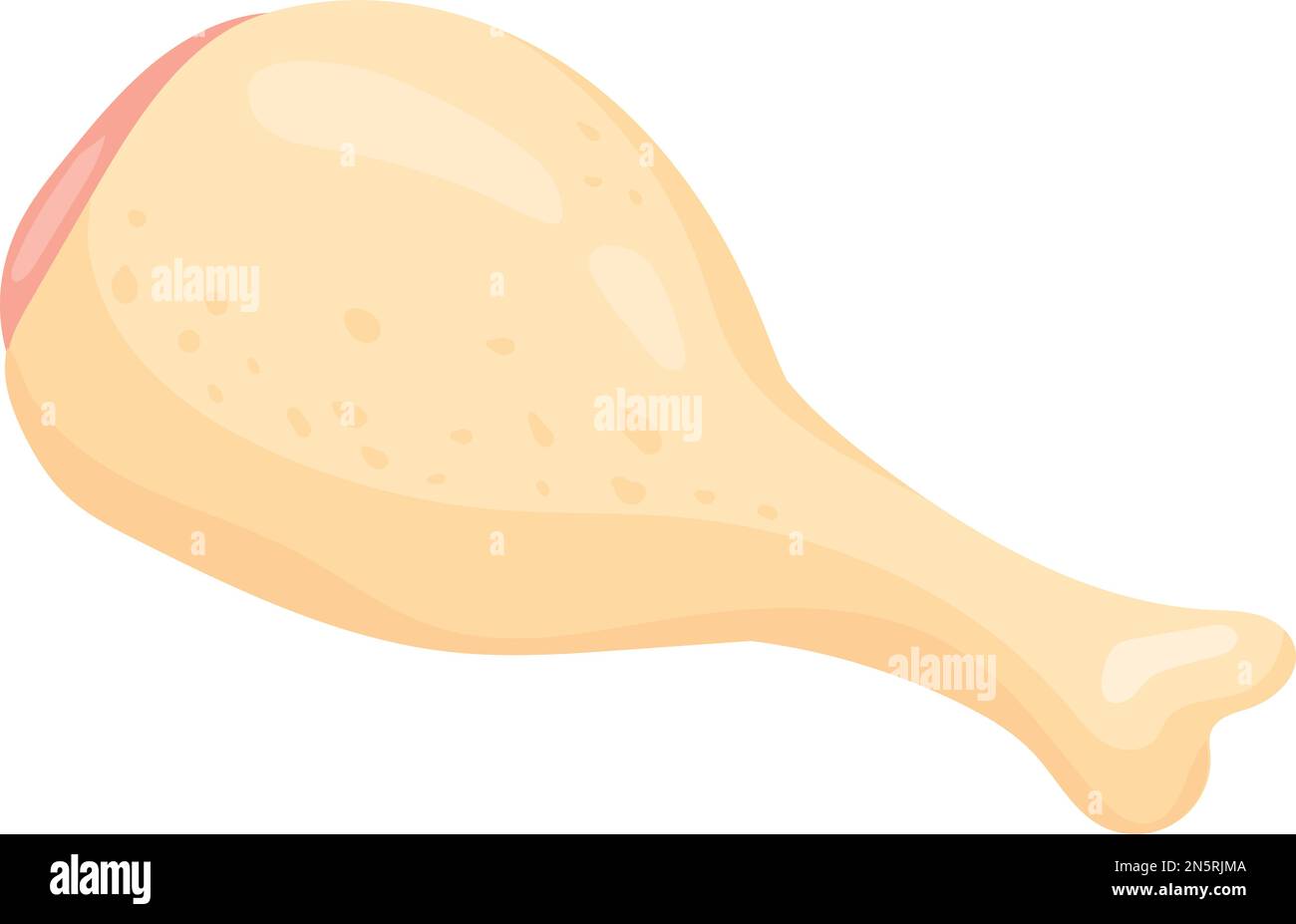 Raw chicken leg. Uncooked fresh bird meat isolated on white background