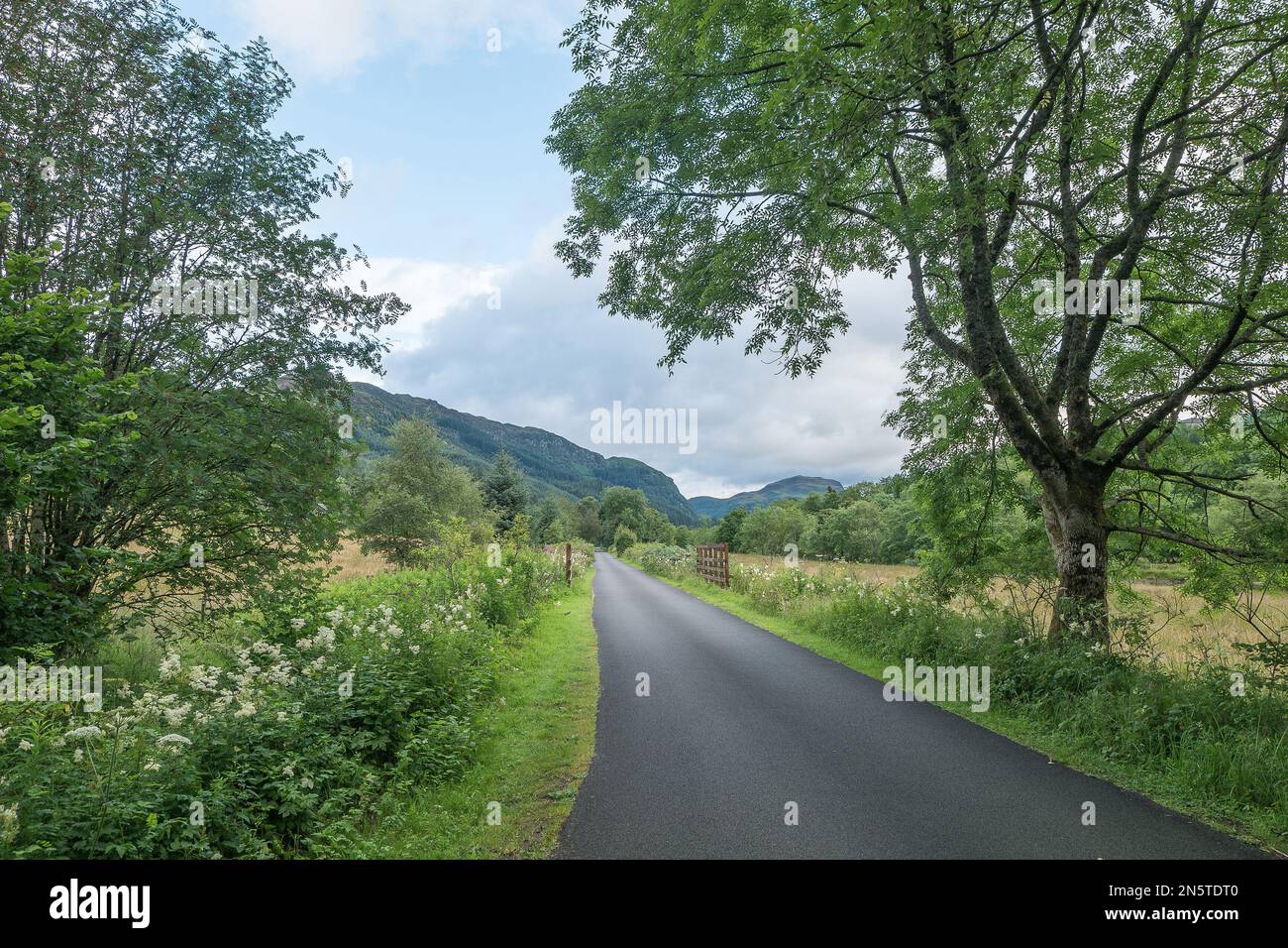 The Rob Roy Way walking trail sharing National Cycle Route 7 on the way north from Callander to 