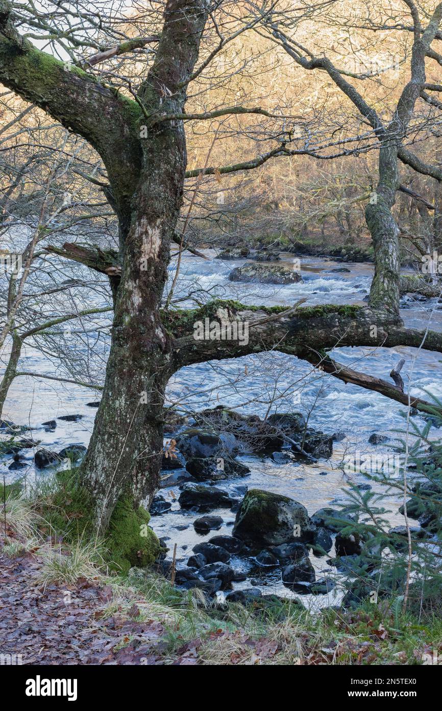 The River Leny. (aka Garbh Uisge) from the west bank where the Rob Roy Way traverses the Pass of Leny near Callander. Stock Photo