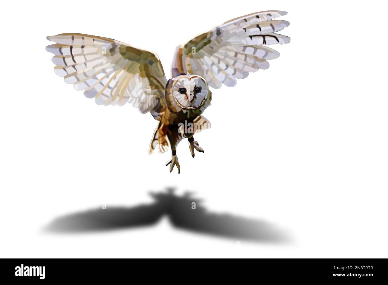 Flying owl on white background. Vector illustration. Stock Vector