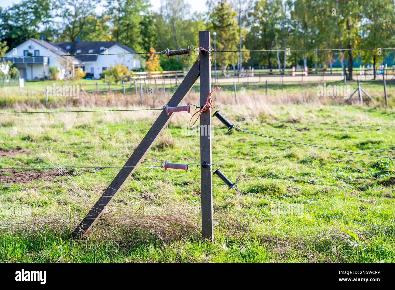 Electric fence horse paddock hires stock photography and images Alamy
