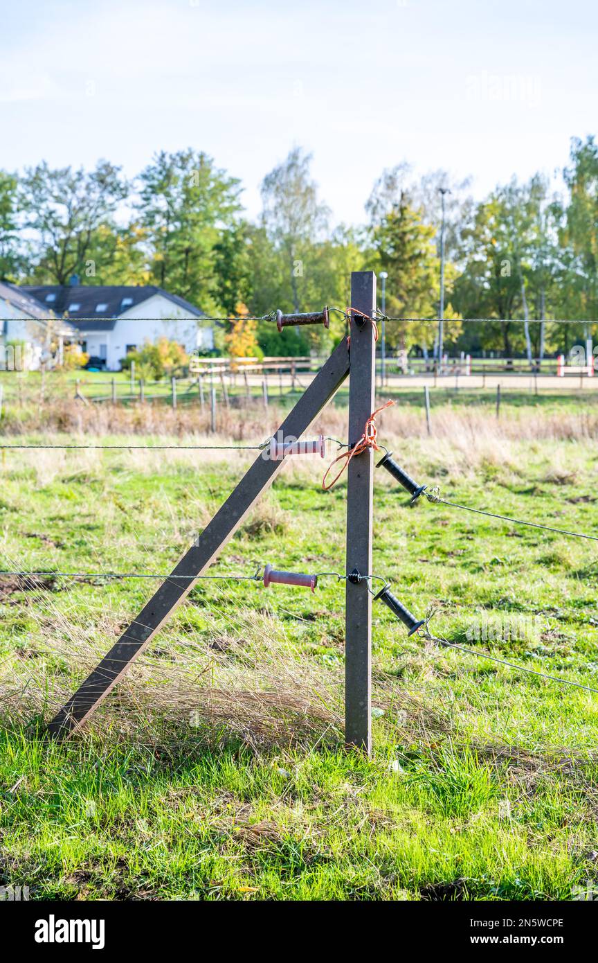 Electric fence horse paddock hires stock photography and images Alamy