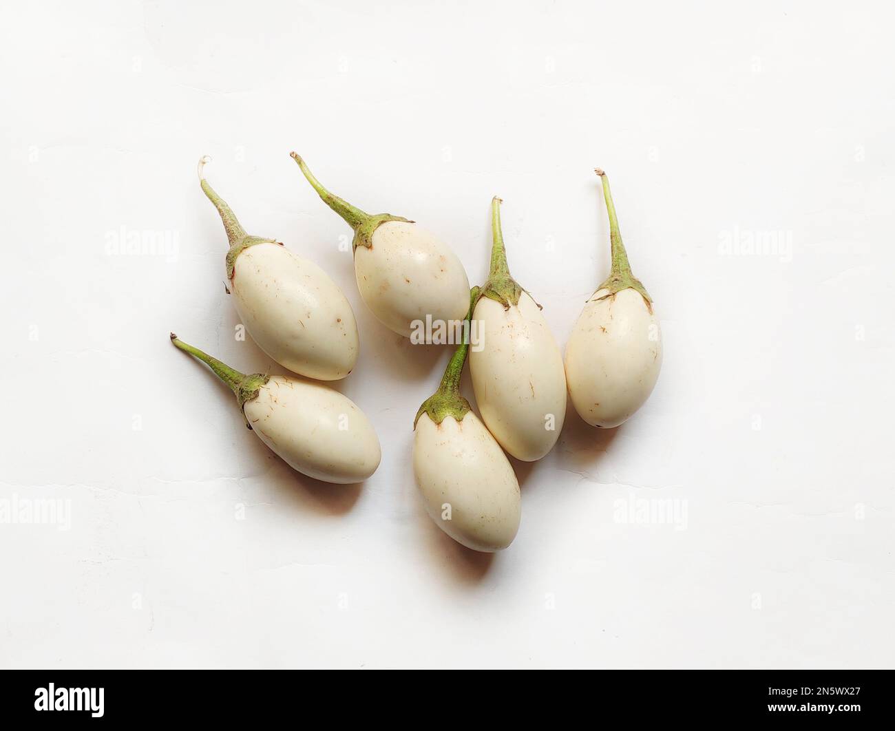 Eggplant is a plant species in the nightshade family Solanaceae