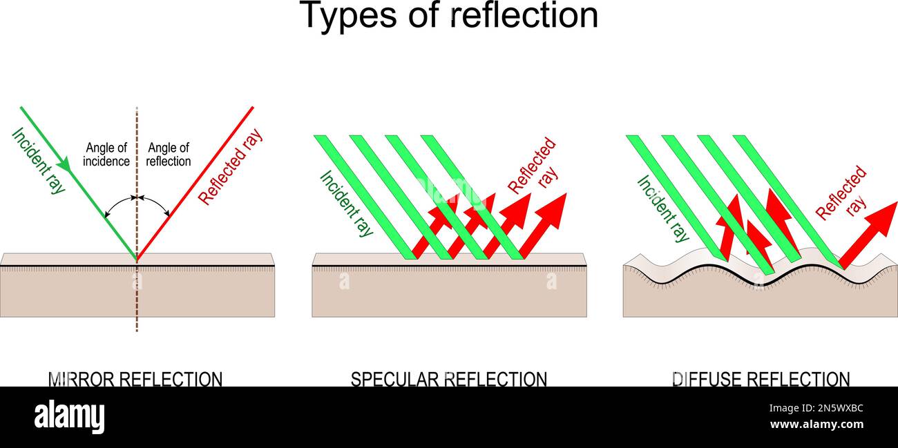 Types of reflection. Specular, Diffuse, and Mirror reflection. Incident light and Reflected rays. Angle of incidence Angle of reflected Stock Vector