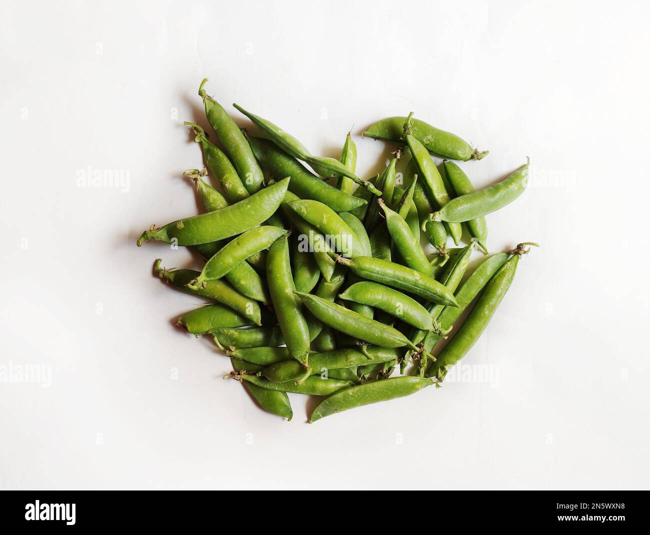 Vegetable Pea in isolated white background. Scientific name Pisum